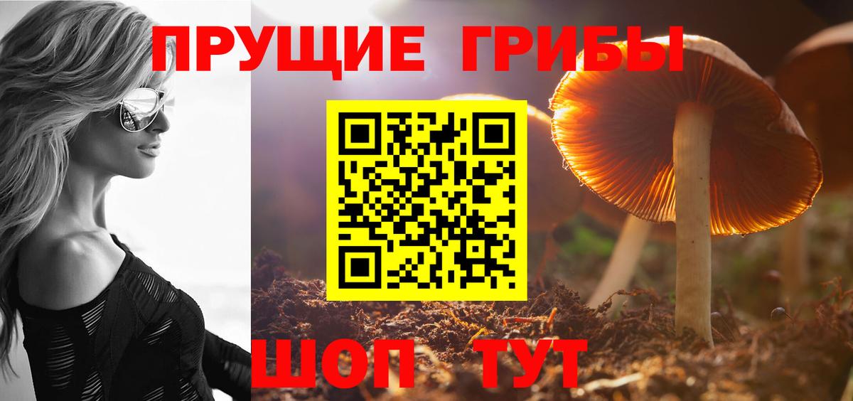 Галлюциногенные грибы Magic Shrooms  Псилоцибиновые грибы мицелий  купить наркотик  Вход с VPN  Тобольск 